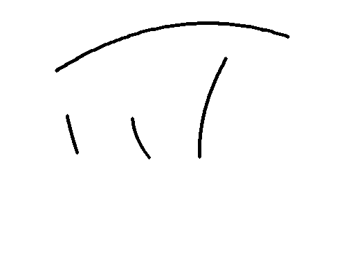 Sparse foreground and background scribble annotation